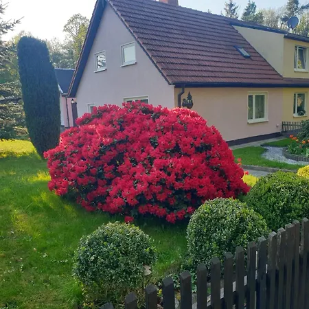 Holiday home Pali - Idyllische Atmosphaere